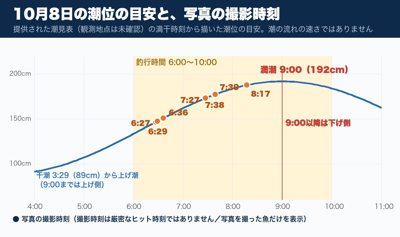 提供された潮見表(観測地点は未確認)の満干時刻から描いた潮位の目安と写真の撮影時刻。表の潮位曲線では9:00までが上げ側、以降が下げ側(現場の潮の動きは未確認/撮影時刻は厳密なヒット時刻ではありません)
